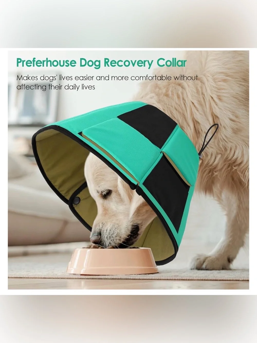 Preferhouse Dog Cone